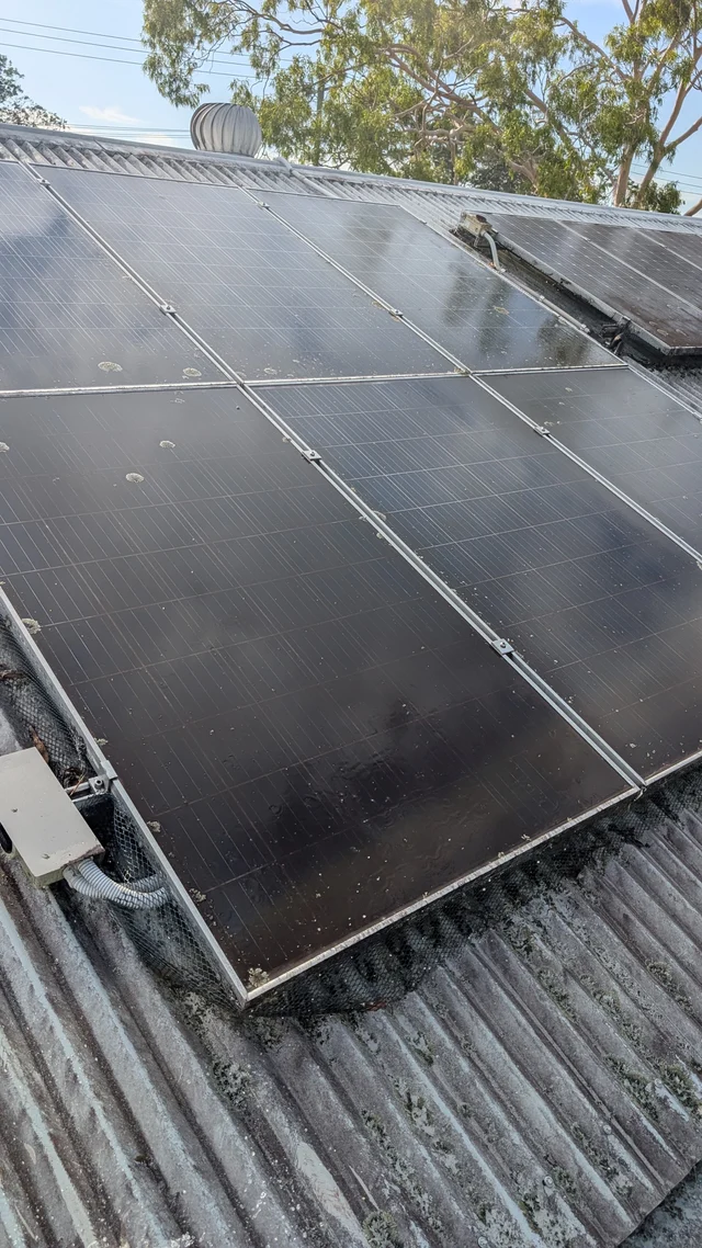 Lichen and grime on a real customer solar array before Blue Crew cleaning